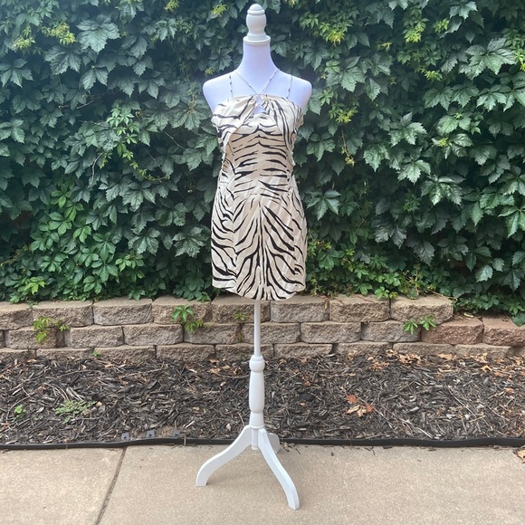 Zara Zebra Print Dress - Picture 2 of 4